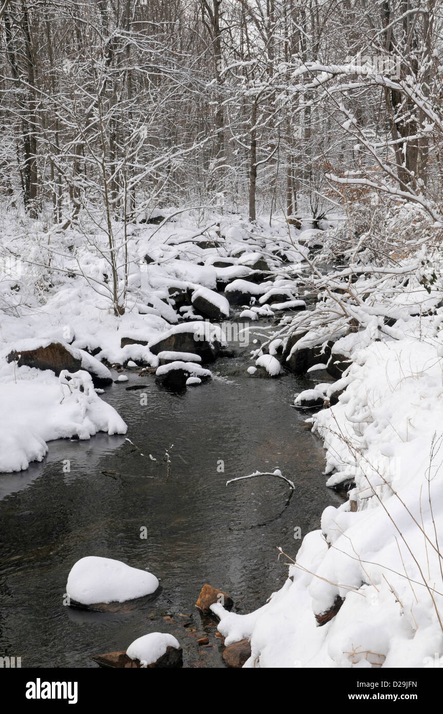 Snowy Stream, Virginia Stock Photo