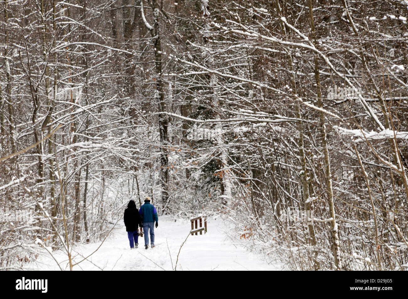 Walking On Snow Path, Virginia Stock Photo