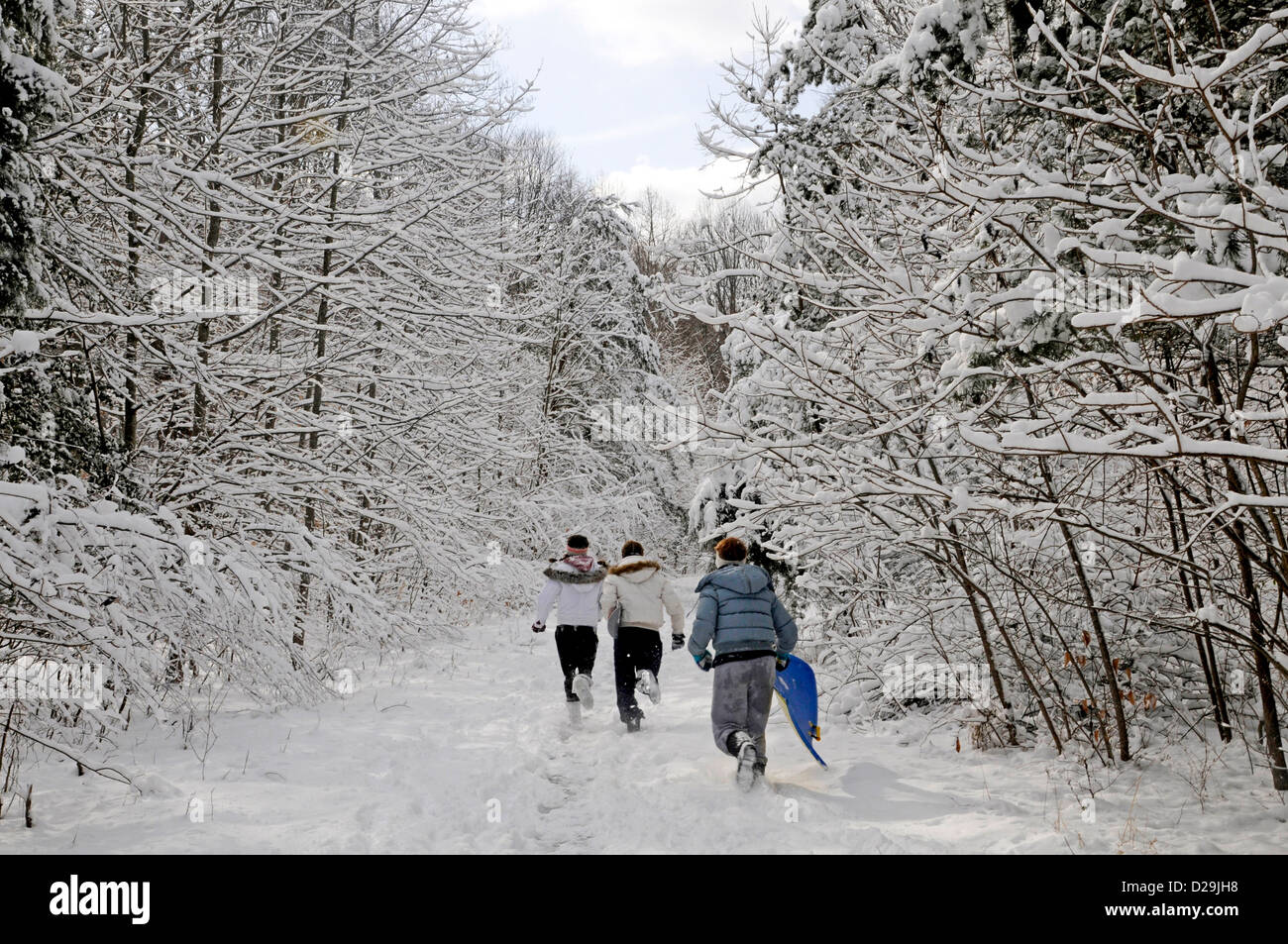 Running On A Snow Path, Virginia Stock Photo