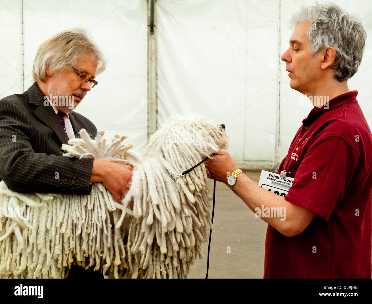 Judge inspecting a pedigree dog at the Three Counties Dog Show in Malvern Worcestershire England UK Stock Photo