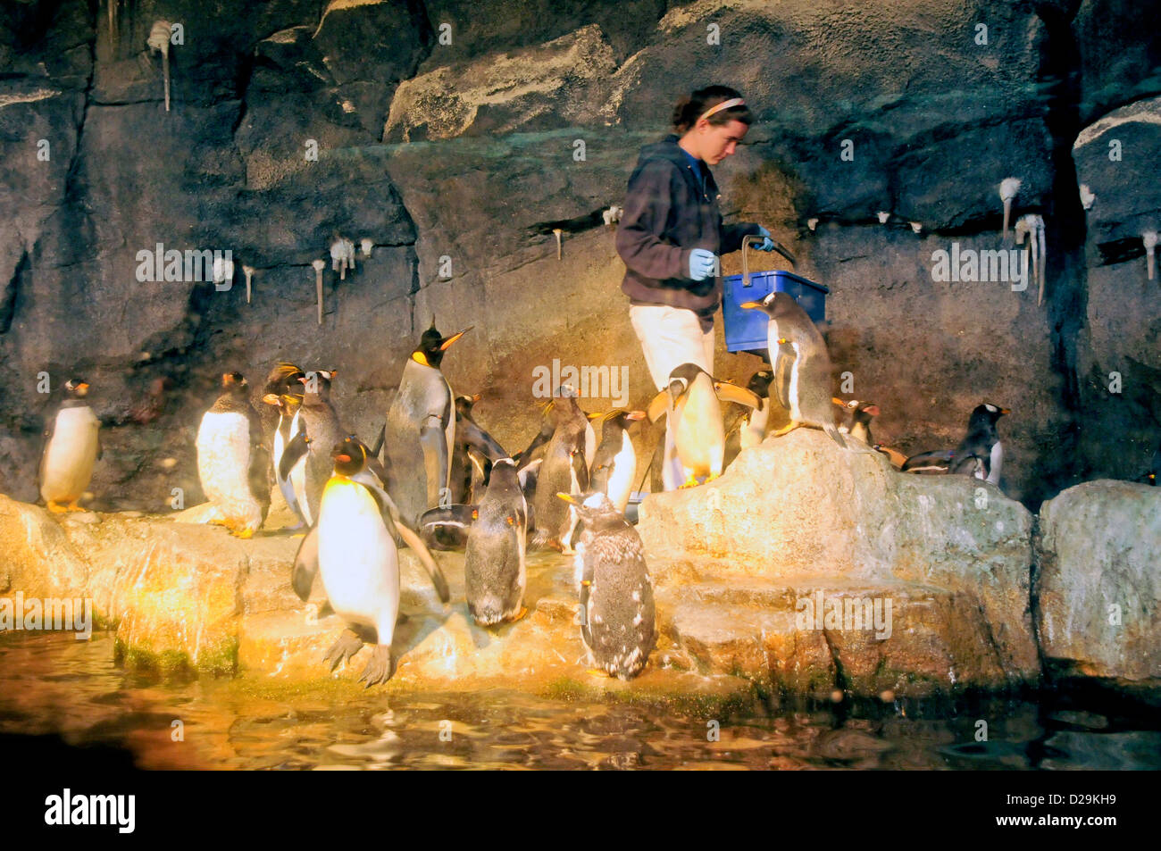 Pittsburgh zoo hi-res stock photography and images - Alamy