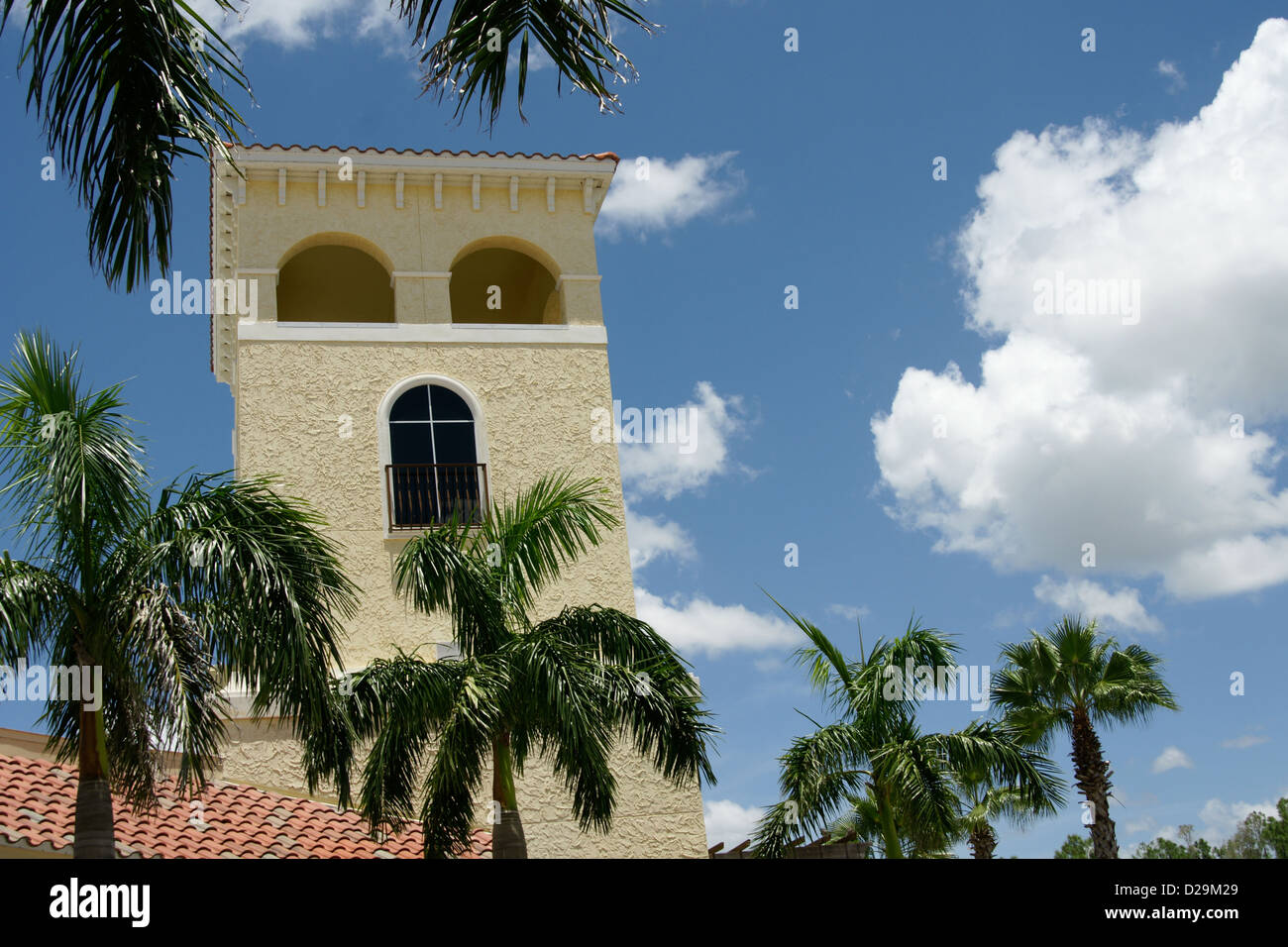 Palm trees and building Stock Photo