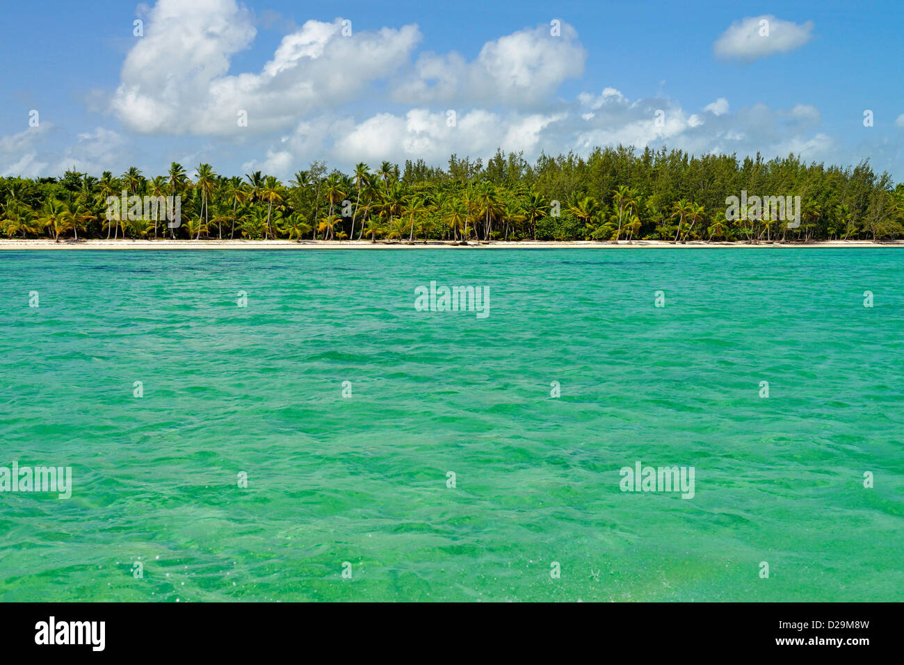 Punta Cana shoreline, Dominican Republic, Caribbean Stock Photo