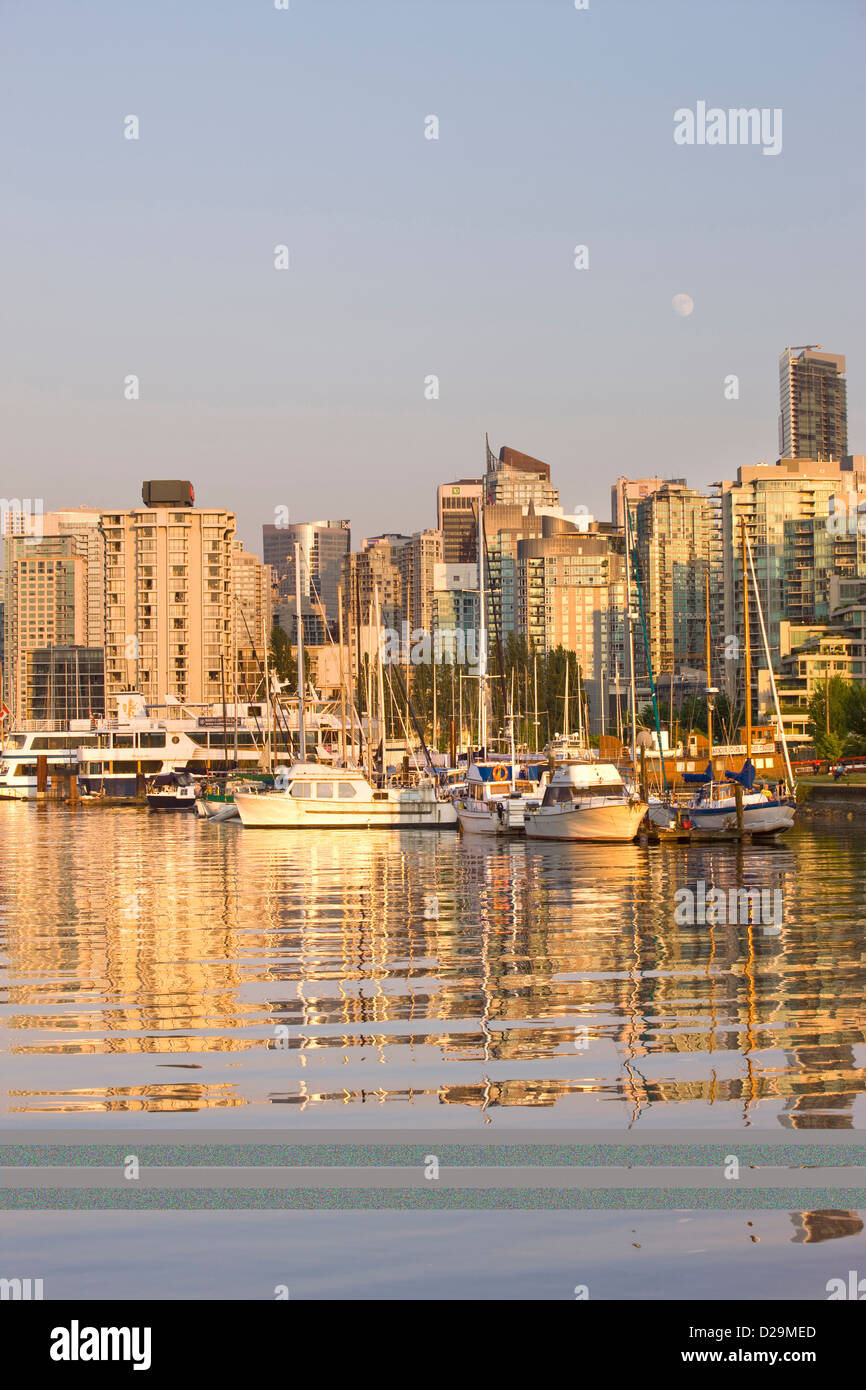 COAL HARBOUR FROM STANLEY PARK DOWNTOWN SKYLINE VANCOUVER BRITISH ...