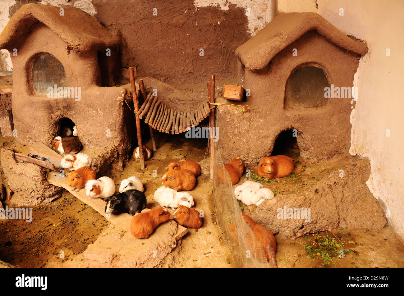 Guinea Pig House, Peru Stock Photo