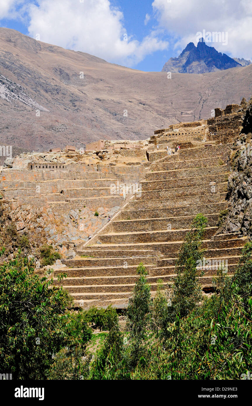 Inca Terrace And Temple Ruins, Ollantaytambo, Peru Stock Photo