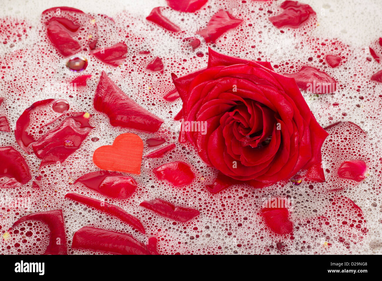 Bath water with rose petals Stock Photo