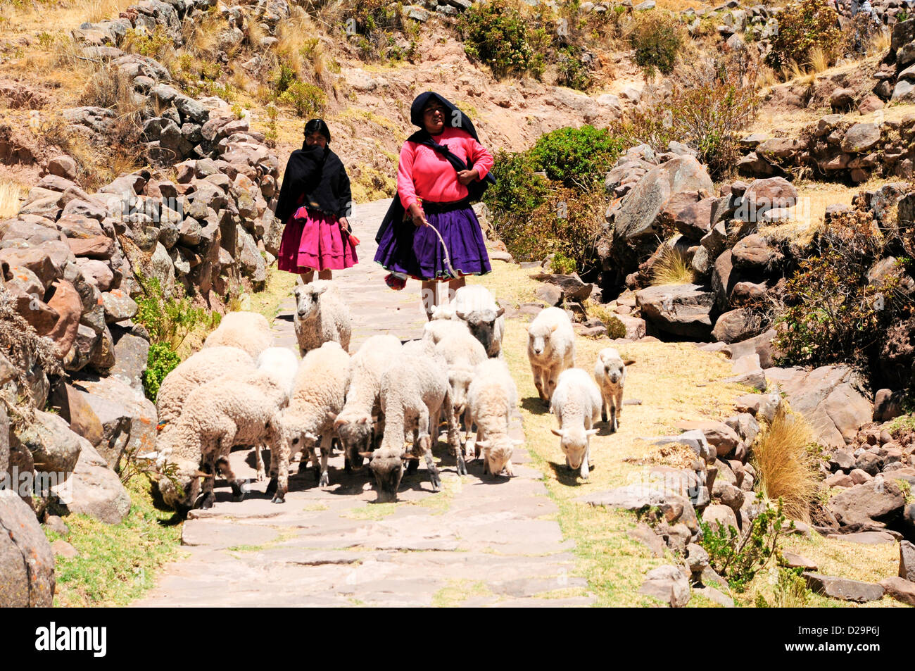 Women shepherds taquile island lake titicaca peru hires stock