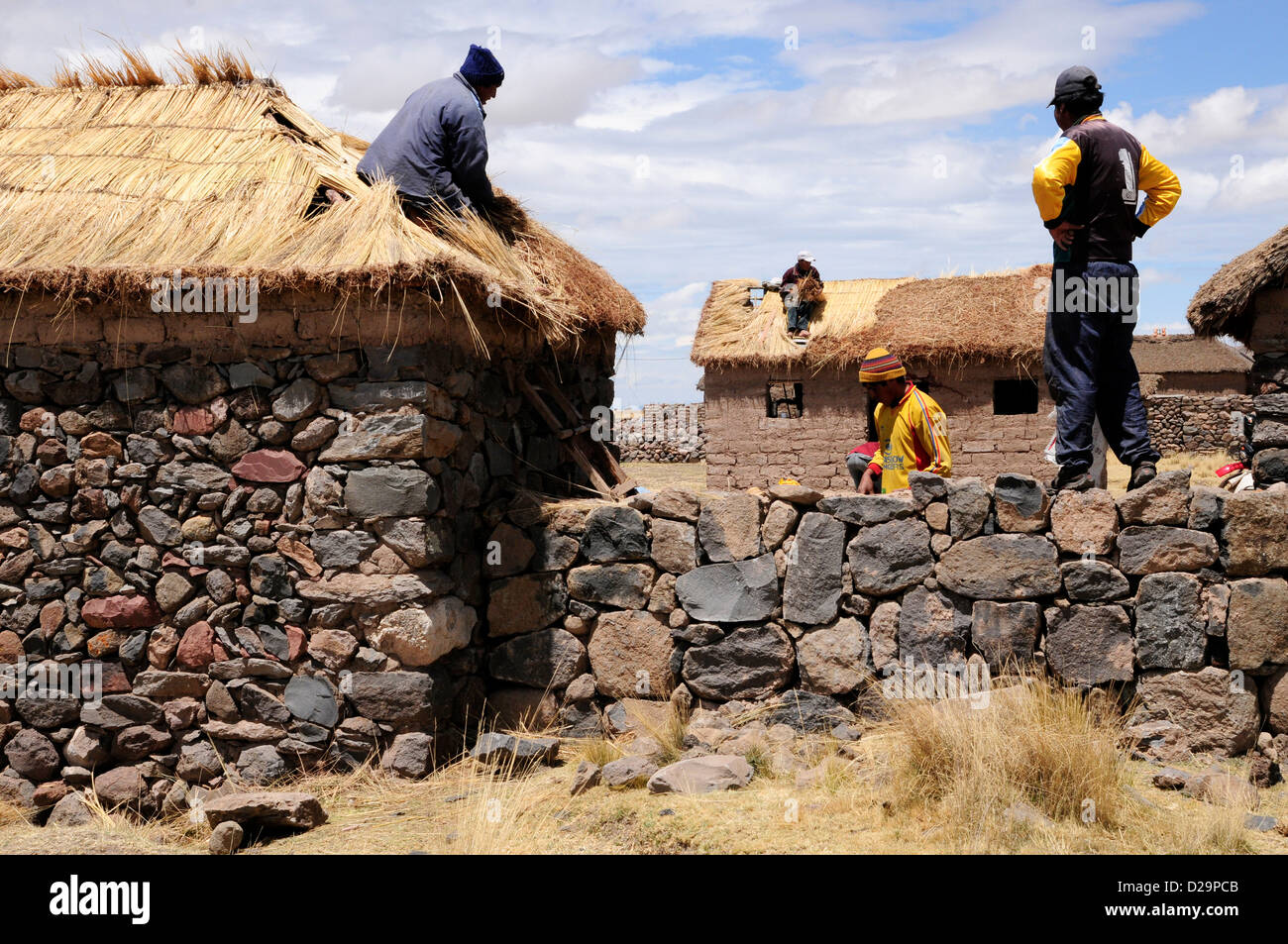 Thatching Farm Houses, Peru Stock Photo - Alamy