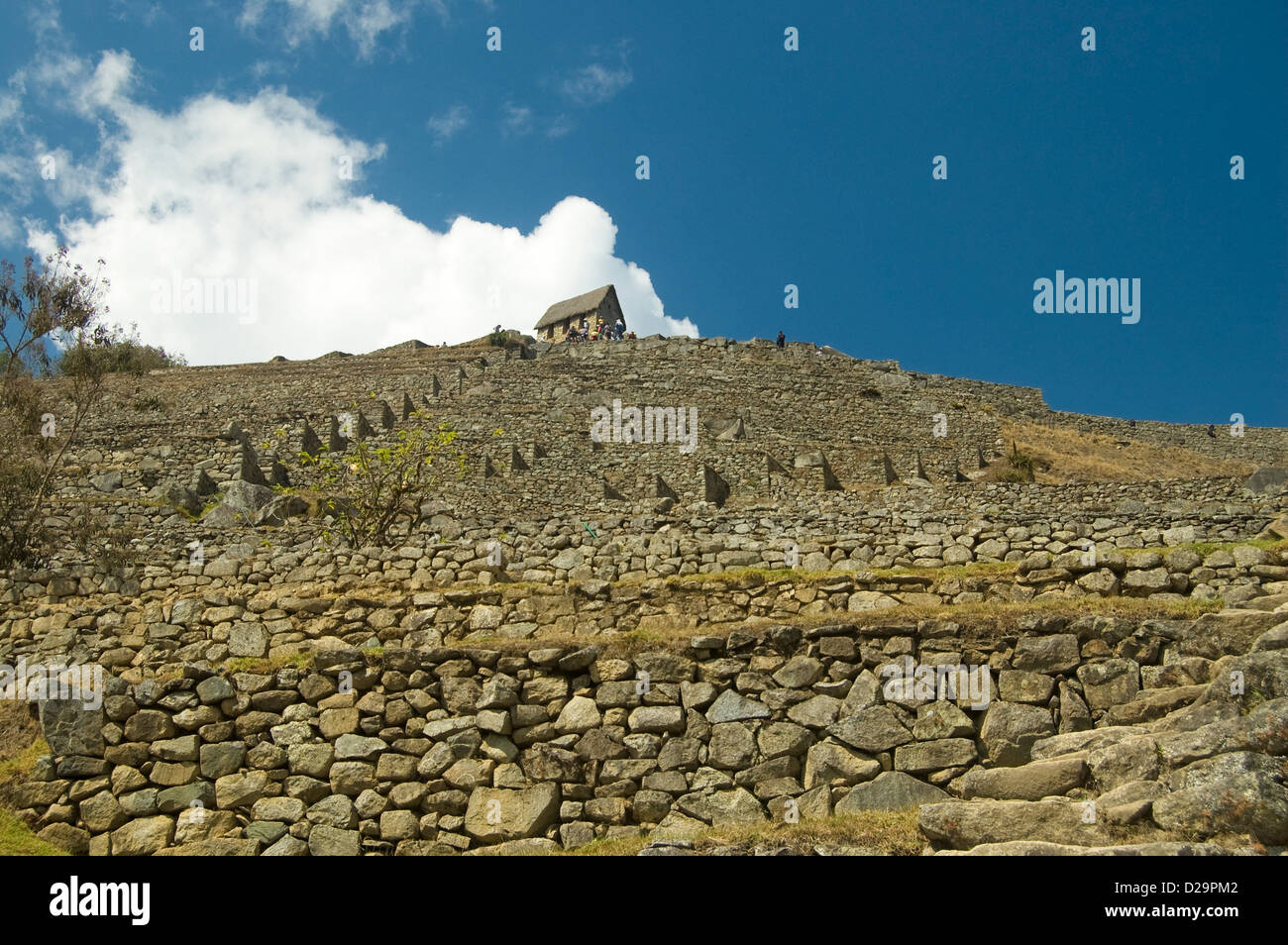 Guardhouse, Macchu Picchu, Peru Stock Photo