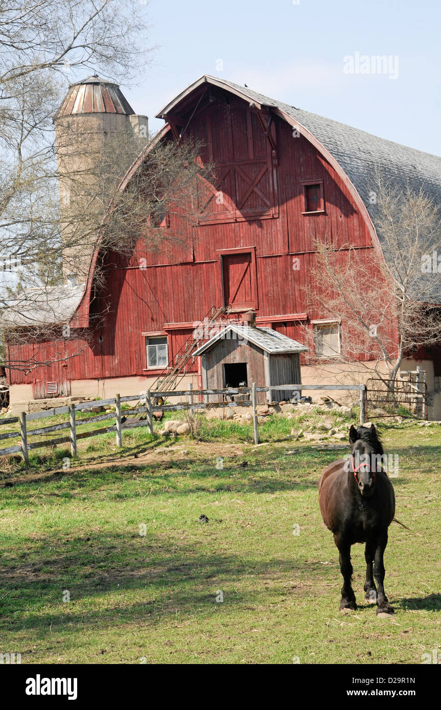 Horse And Barn. Wisconsin Stock Photo