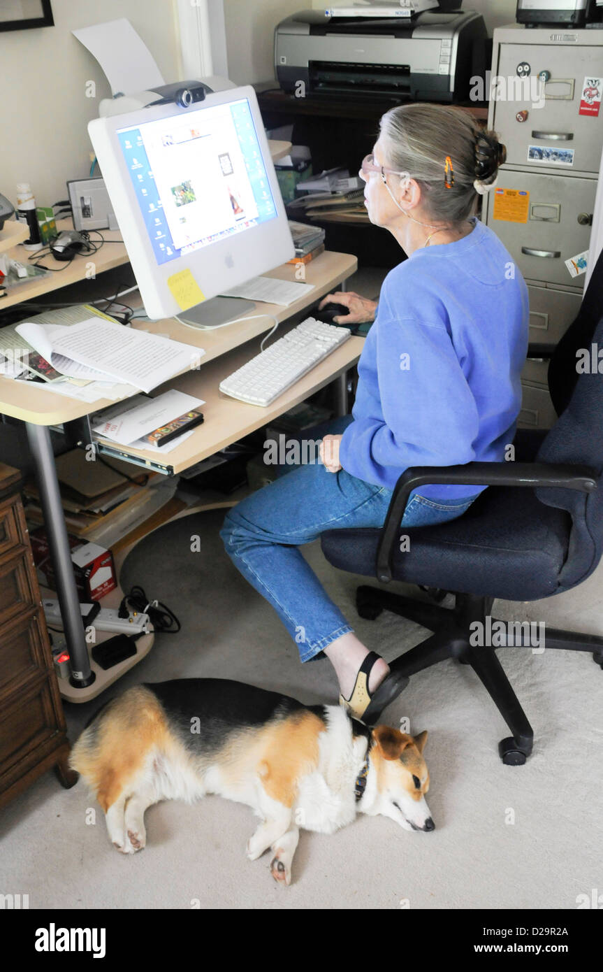 Woman And Dog In Home Office Stock Photo