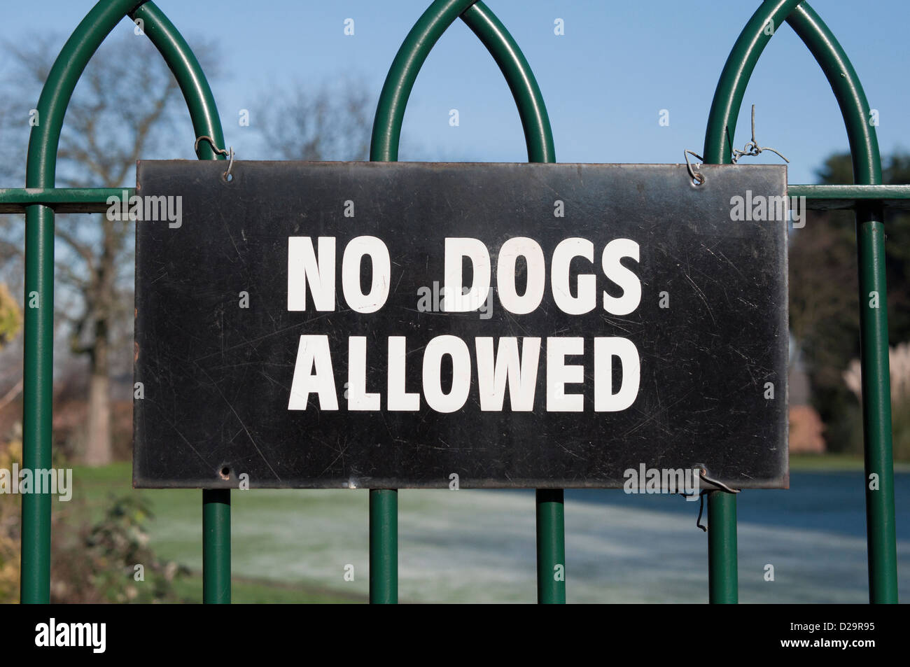 no-dogs-allowed-sign-snoopy
