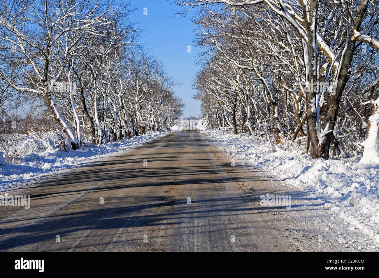 Wisconsin Country Road Stock Photo