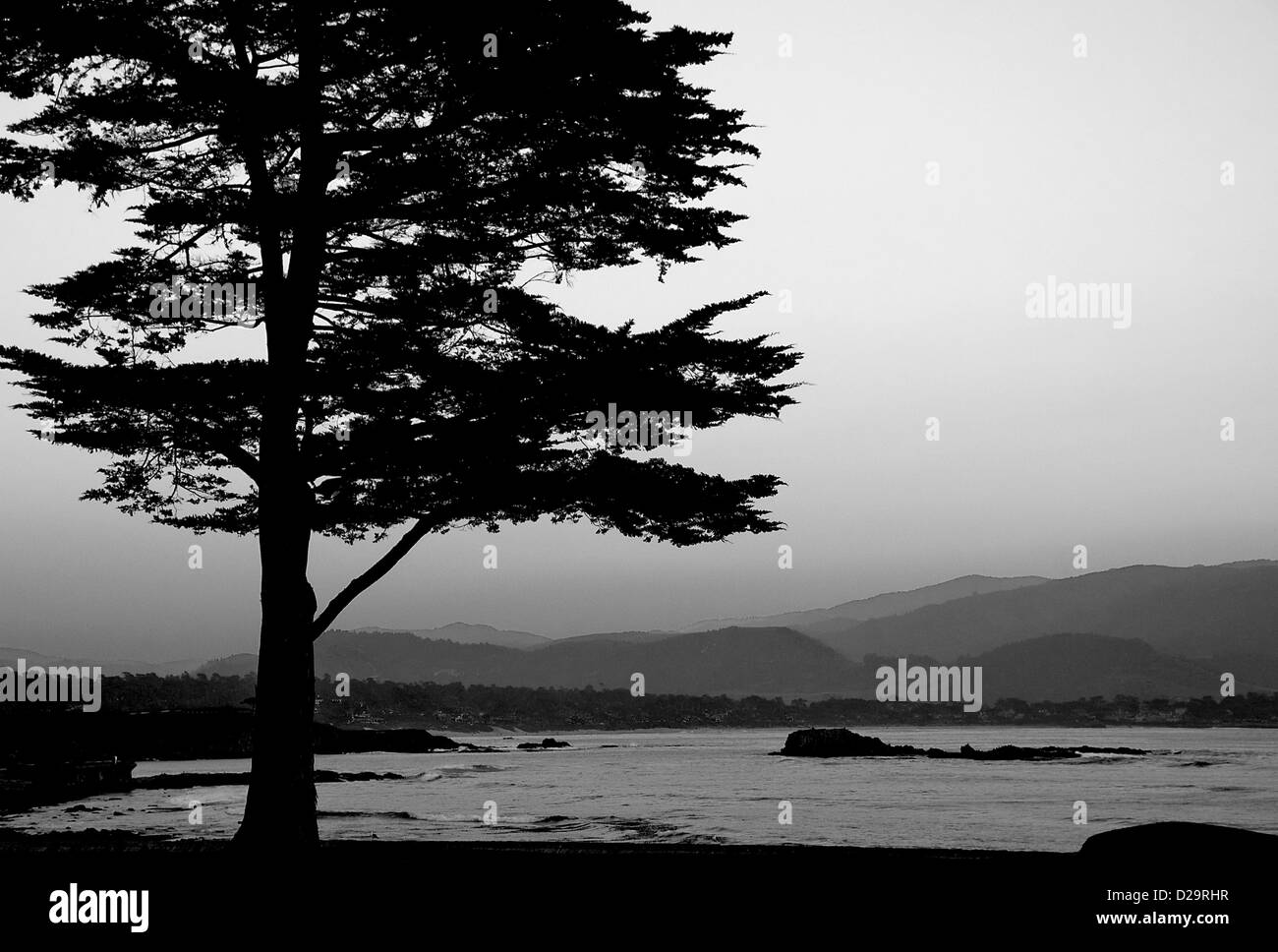 Tree silhouette beach hi-res stock photography and images - Alamy
