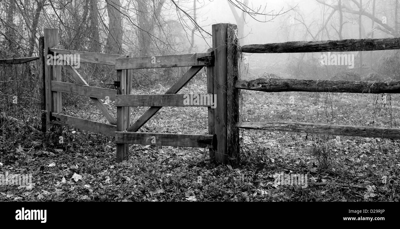 Wooden Fence, Foggy Morning Stock Photo
