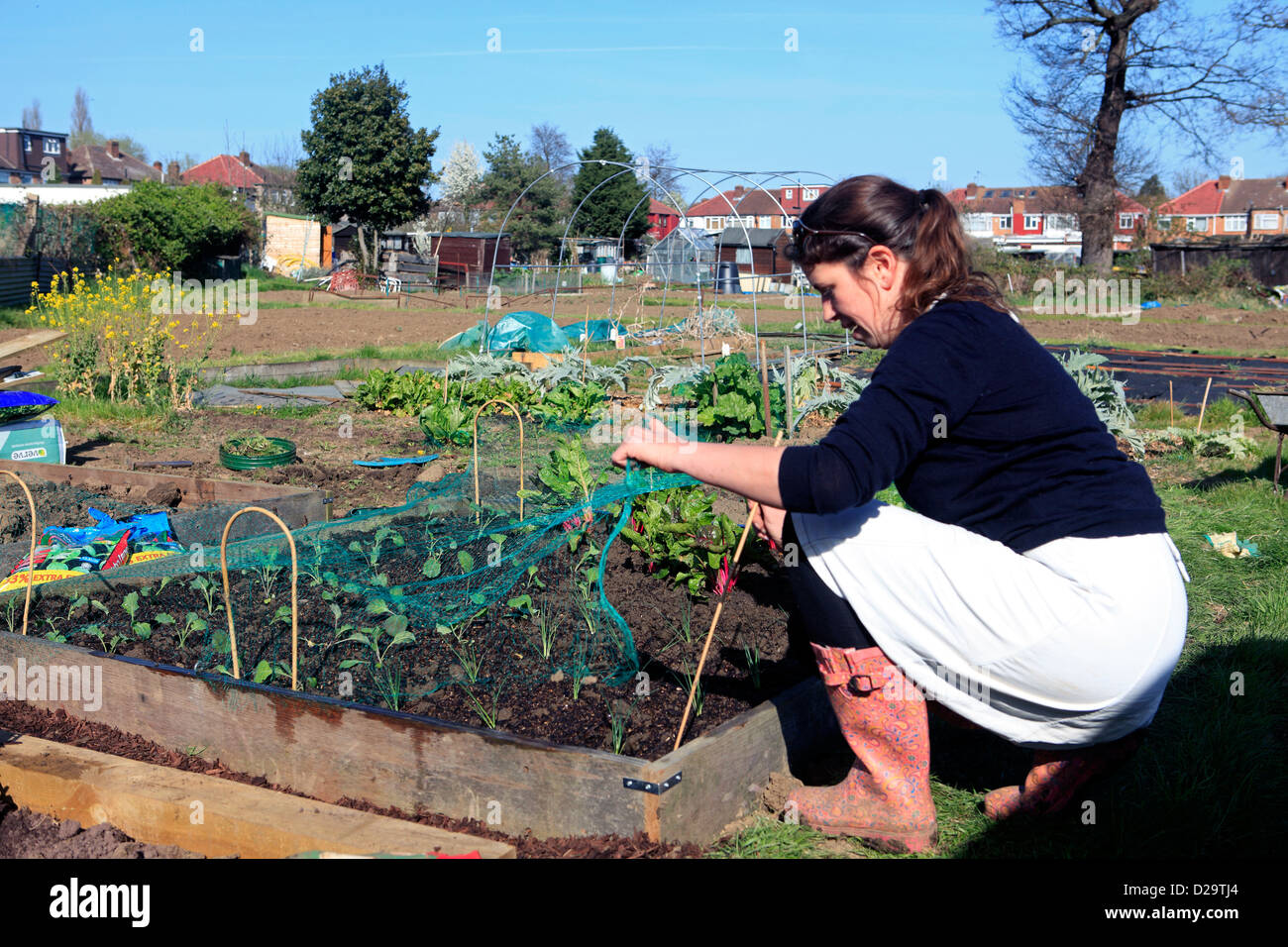 Jubilee road hires stock photography and images Alamy