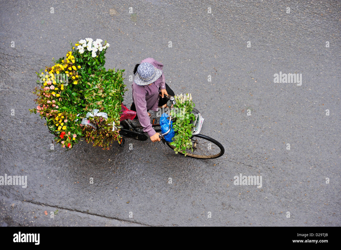 Hanoi, Vietnam - Flower seller Stock Photo