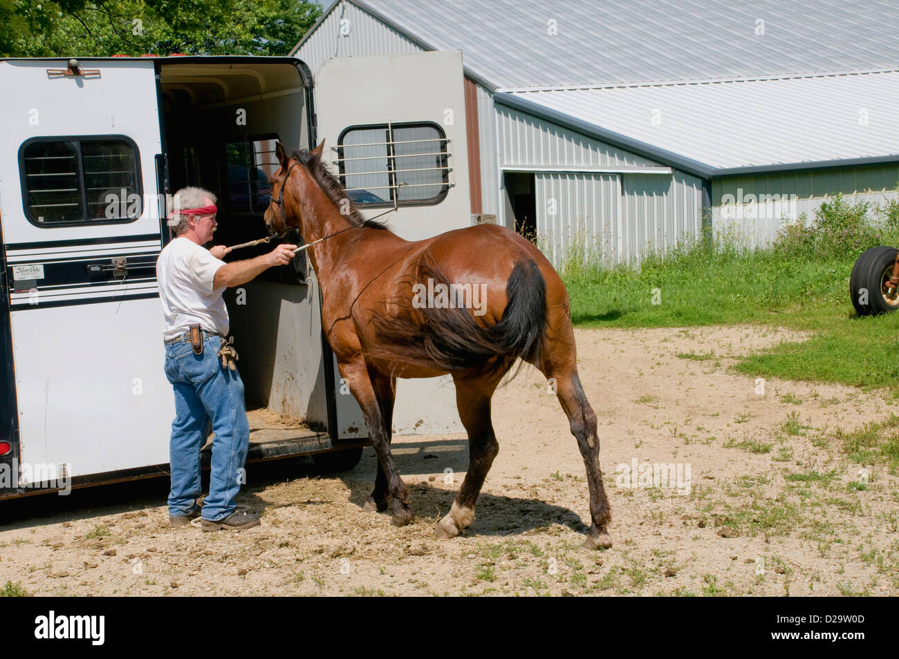 Horse, Horse Trailer And Horse Trainer, Wisconsin Farm Stock Photo Alamy