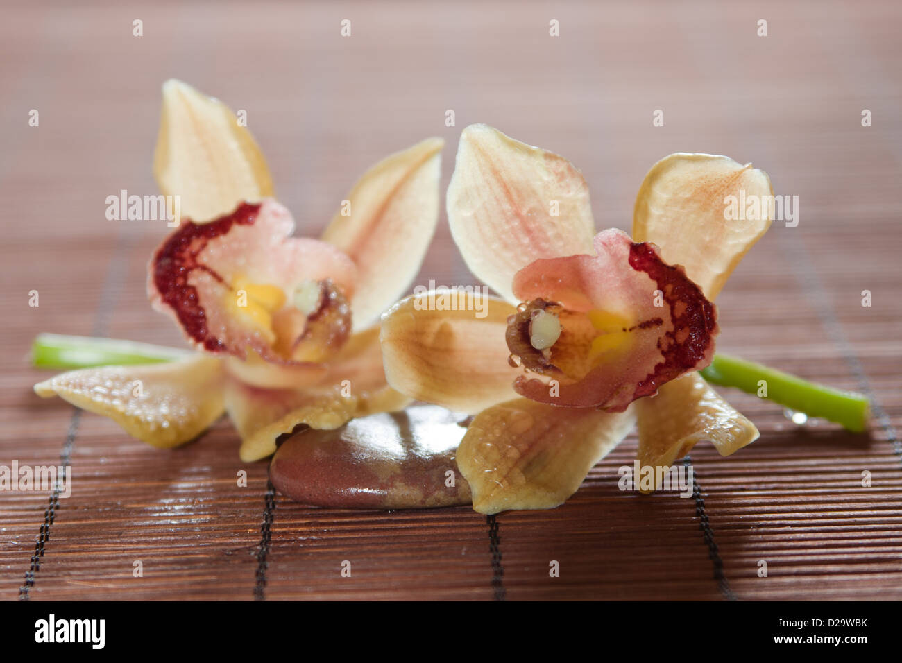 Flower orchid over bamboo background Stock Photo - Alamy