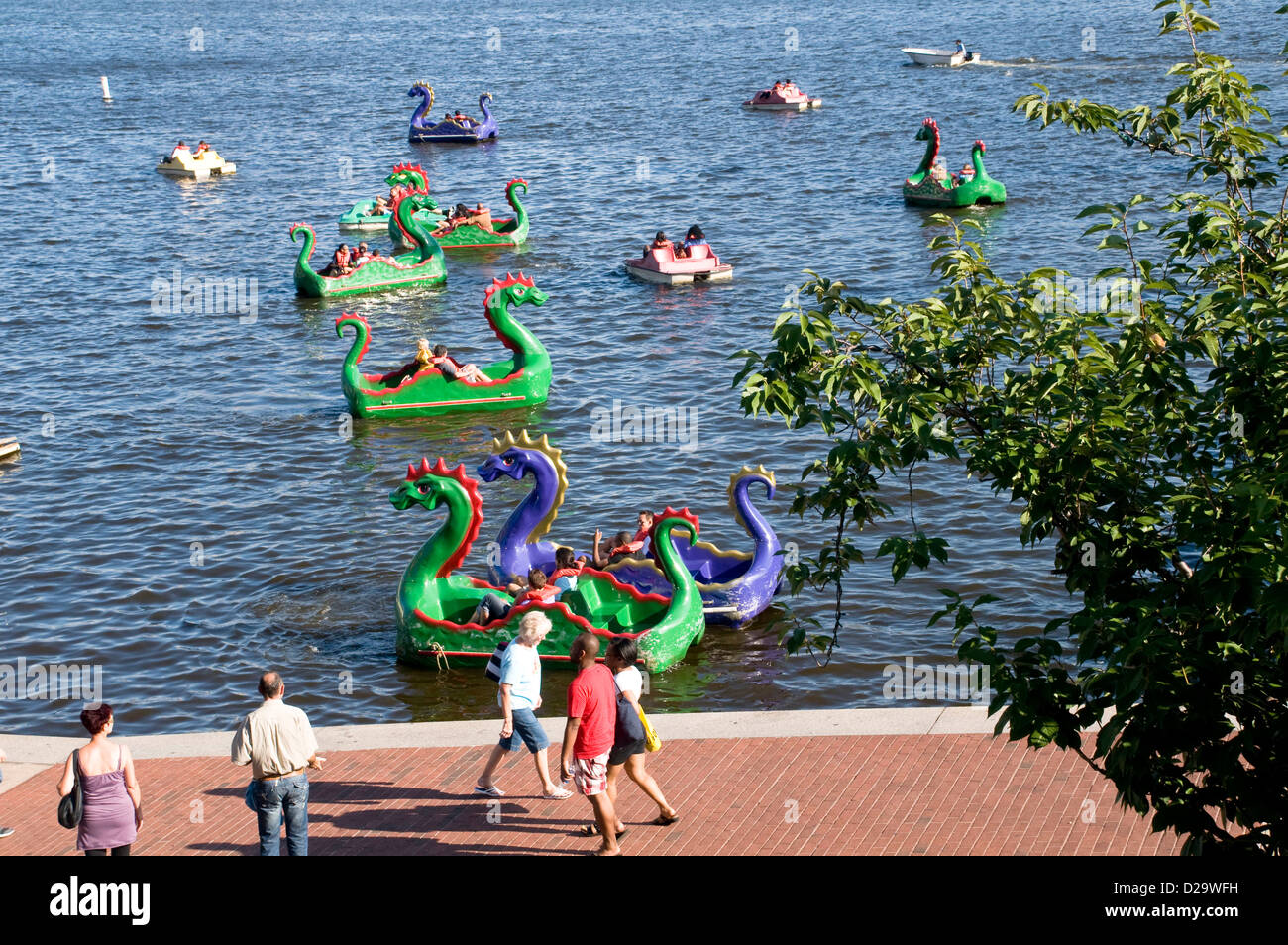 Baltimore Harbor, Maryland, Paddle Boats Stock Photo Alamy
