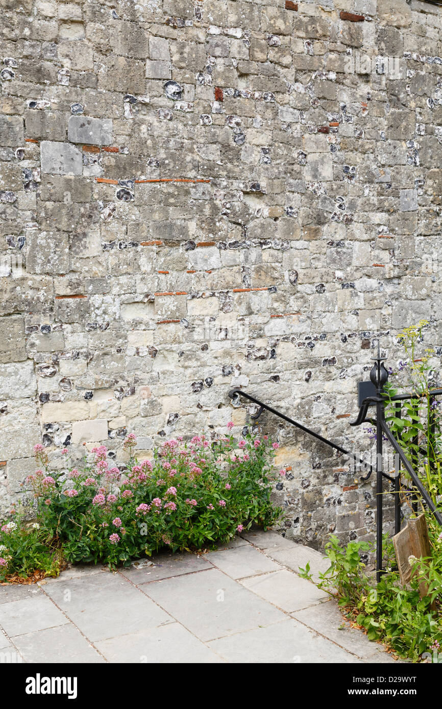 Flagstones and stone wall in a formal garden with lots of copyspace Stock Photo