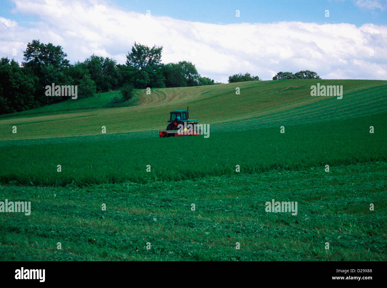 Wisconsin, Cutting Green Hay Stock Photo