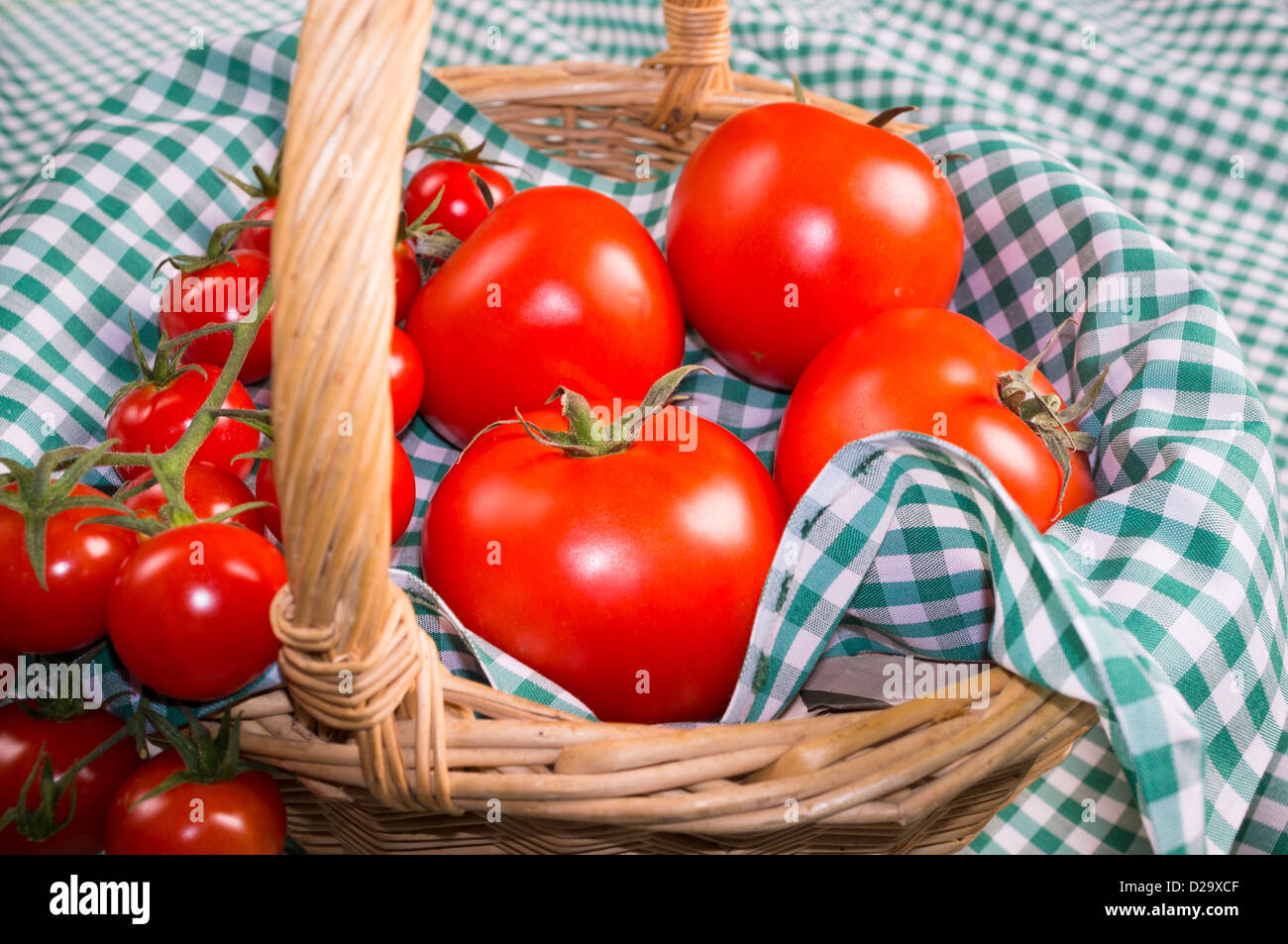 Closeup take of both standard and cherry tomatoes in a traditional ...