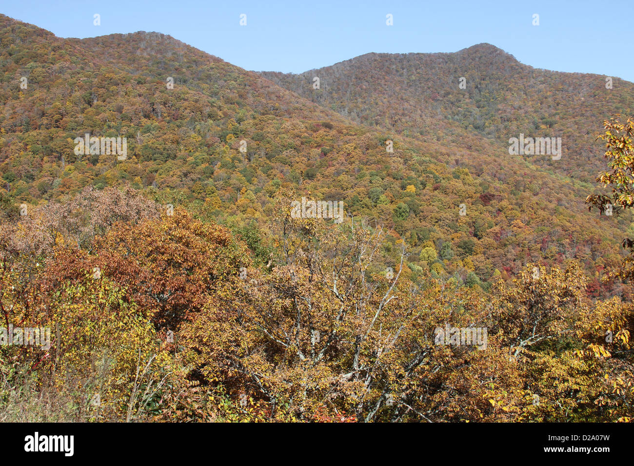 Vibrantly colored autumn landscape in the Appalachian Mountains of North Carolina Stock Photo