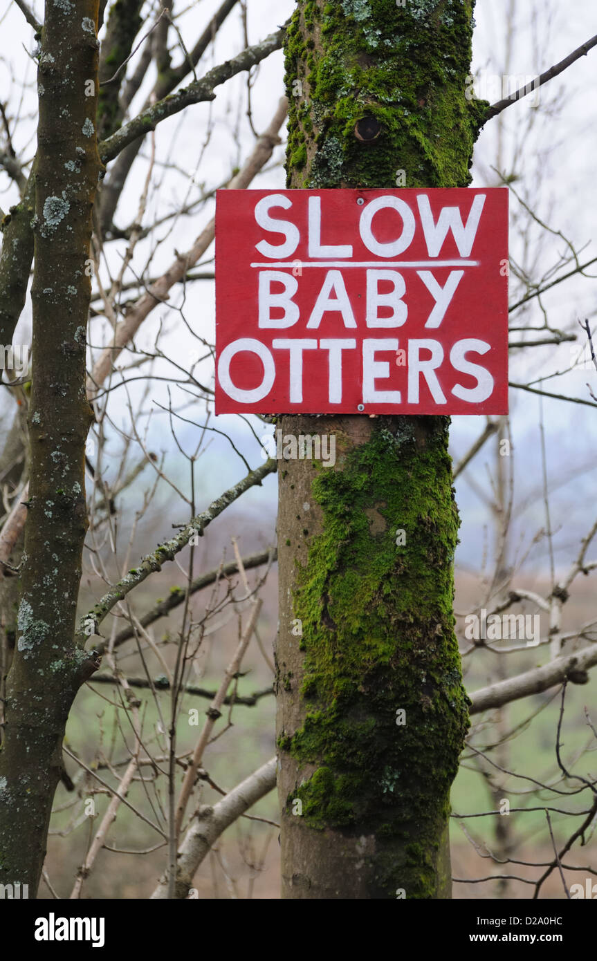 Homemade warning sign nailed on a tree at the side of the road in Lochwinnoch, Scotland Stock Photo