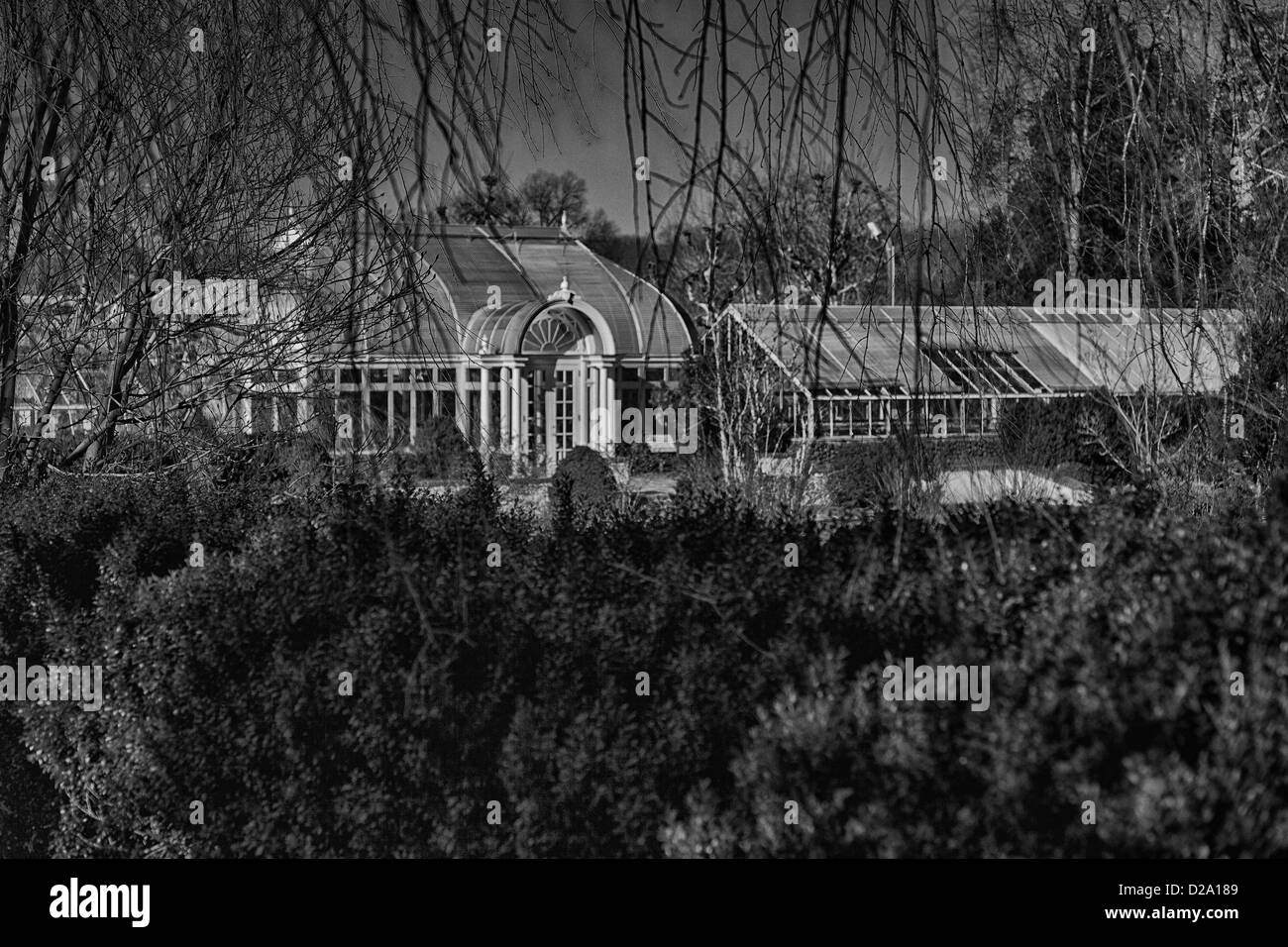 Greenhouse Black and White Stock Photos & Images Alamy