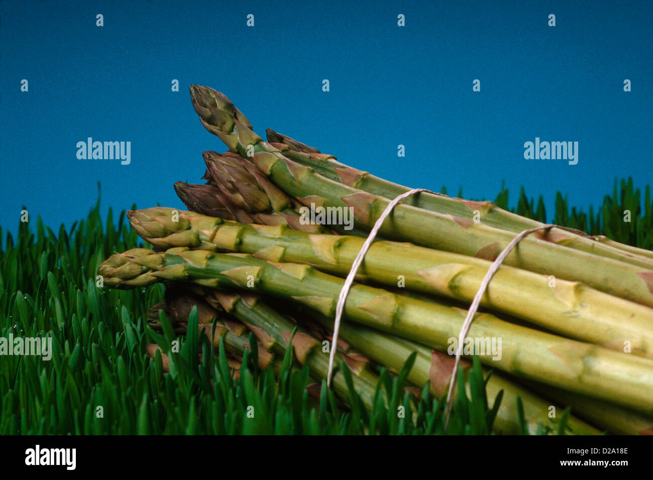 Still Life Of Asparagus On Wheatgrass. Stock Photo