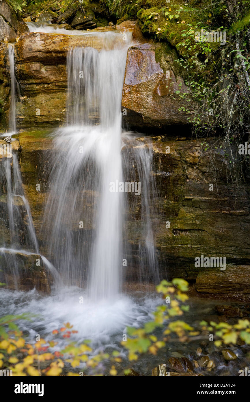 A beautiful Waterfall surrounds by a forest Stock Photo - Alamy