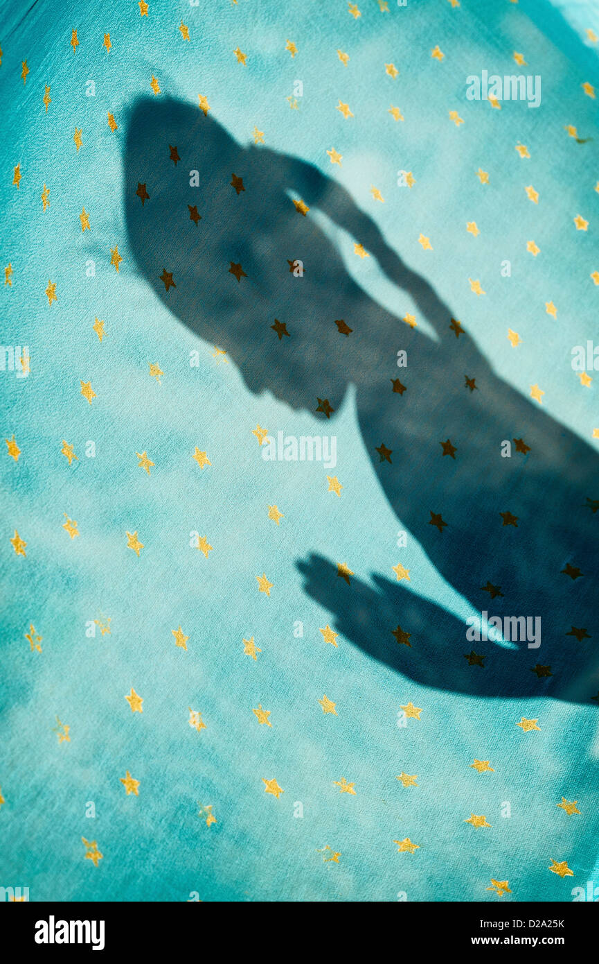 Indian girl praying shadow on a star shawl. India Stock Photo
