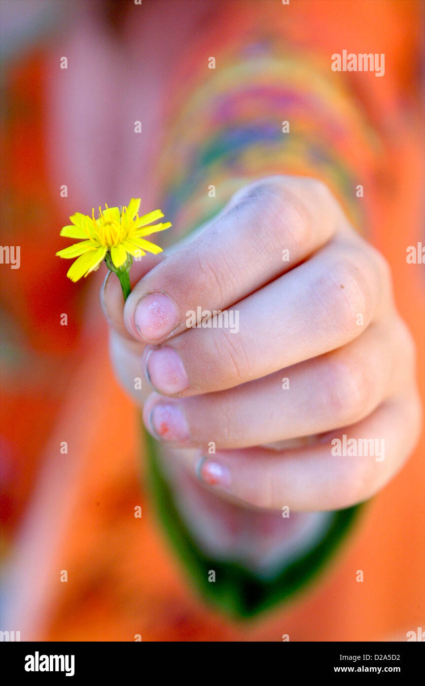 Befriedigung Hälfte hand holding a flower and give to a girl Jane Alphabet Zusammensetzen