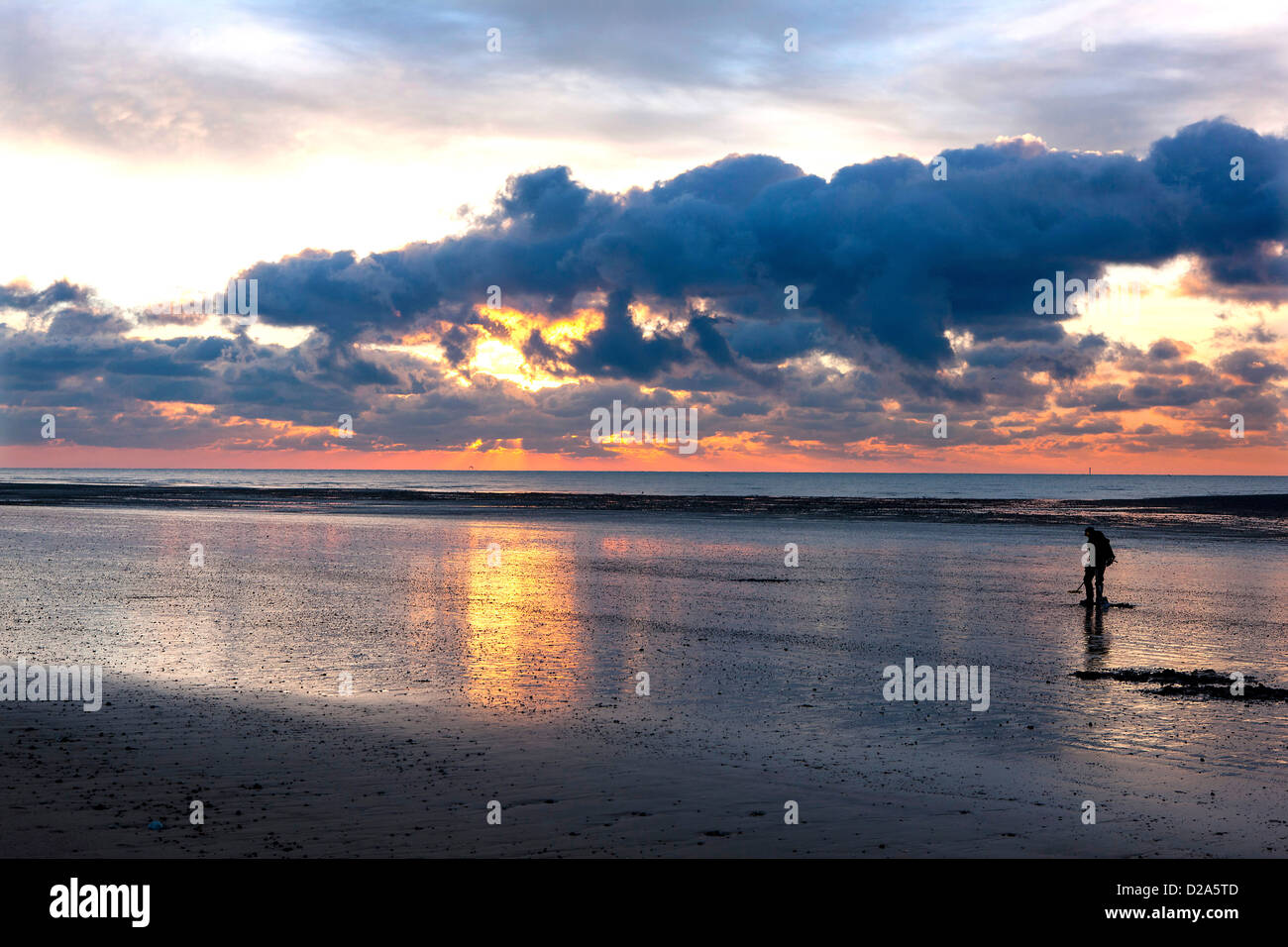Man with metal detector on a beach Stock Photo - Alamy