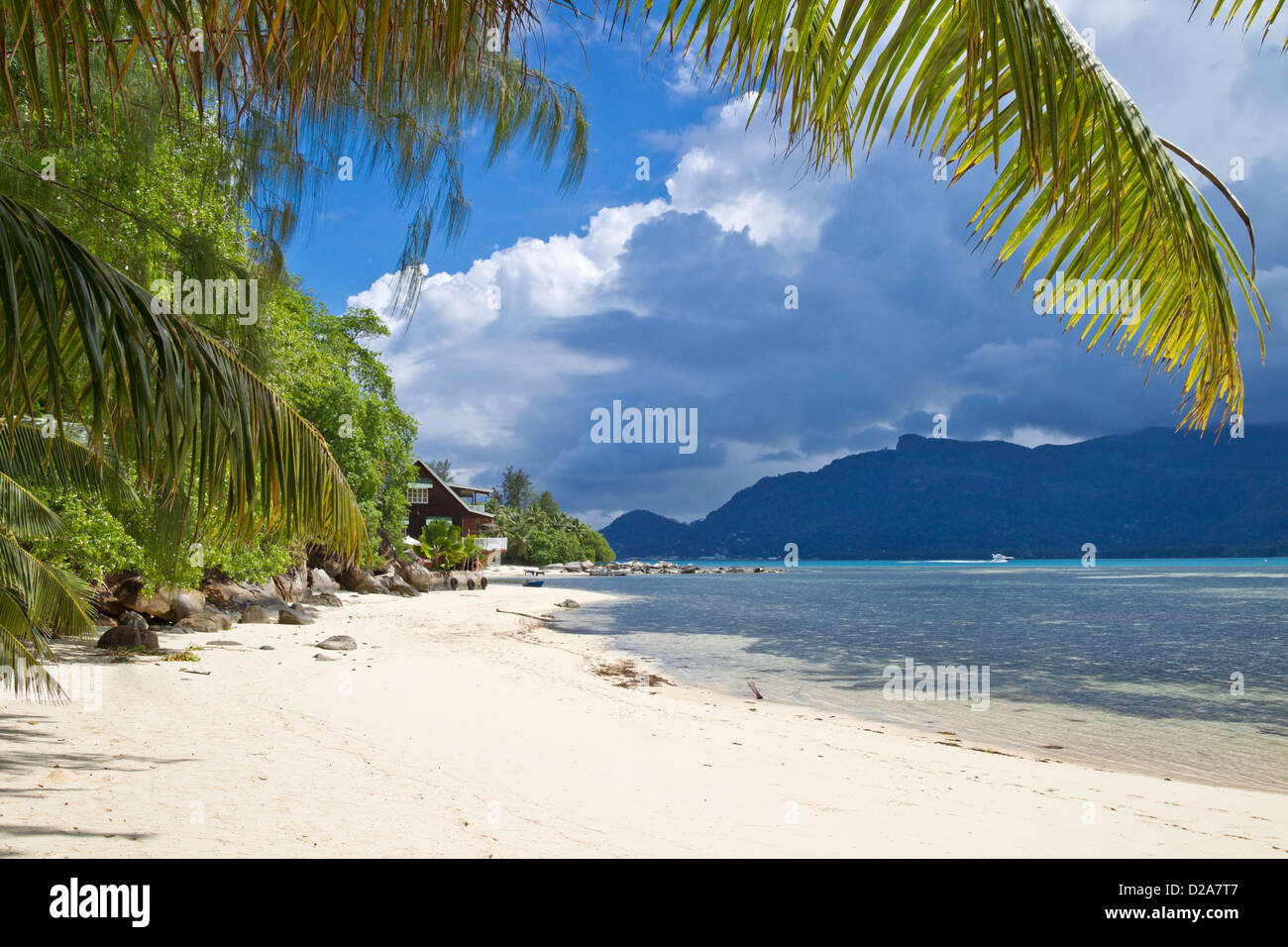 Cerf Island Himmel L'habitation De Cerfs Stock Photo - Alamy