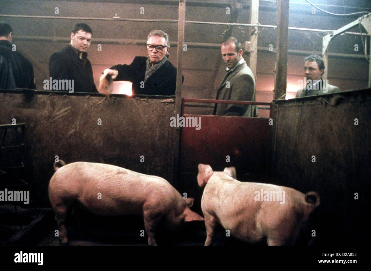 Snatch - Schweine Und Diamanten Snatch Der Besitzer einer Schweinefarm, ist  in dubiose Geschaefte verwickelt. *** Local Stock Photo - Alamy