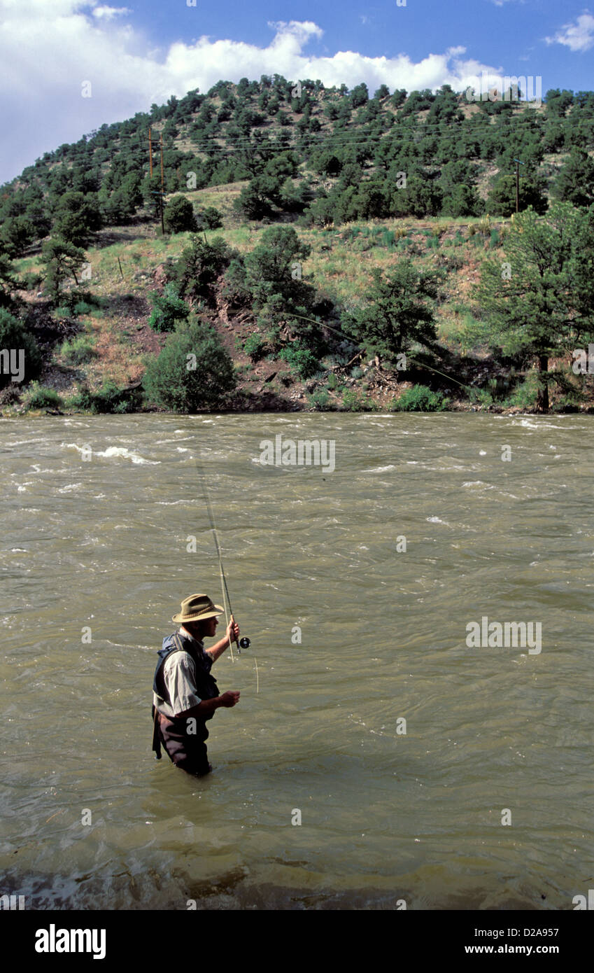 Colorado, Salida, Man Fly Fishing In The Arkansas River Stock Photo