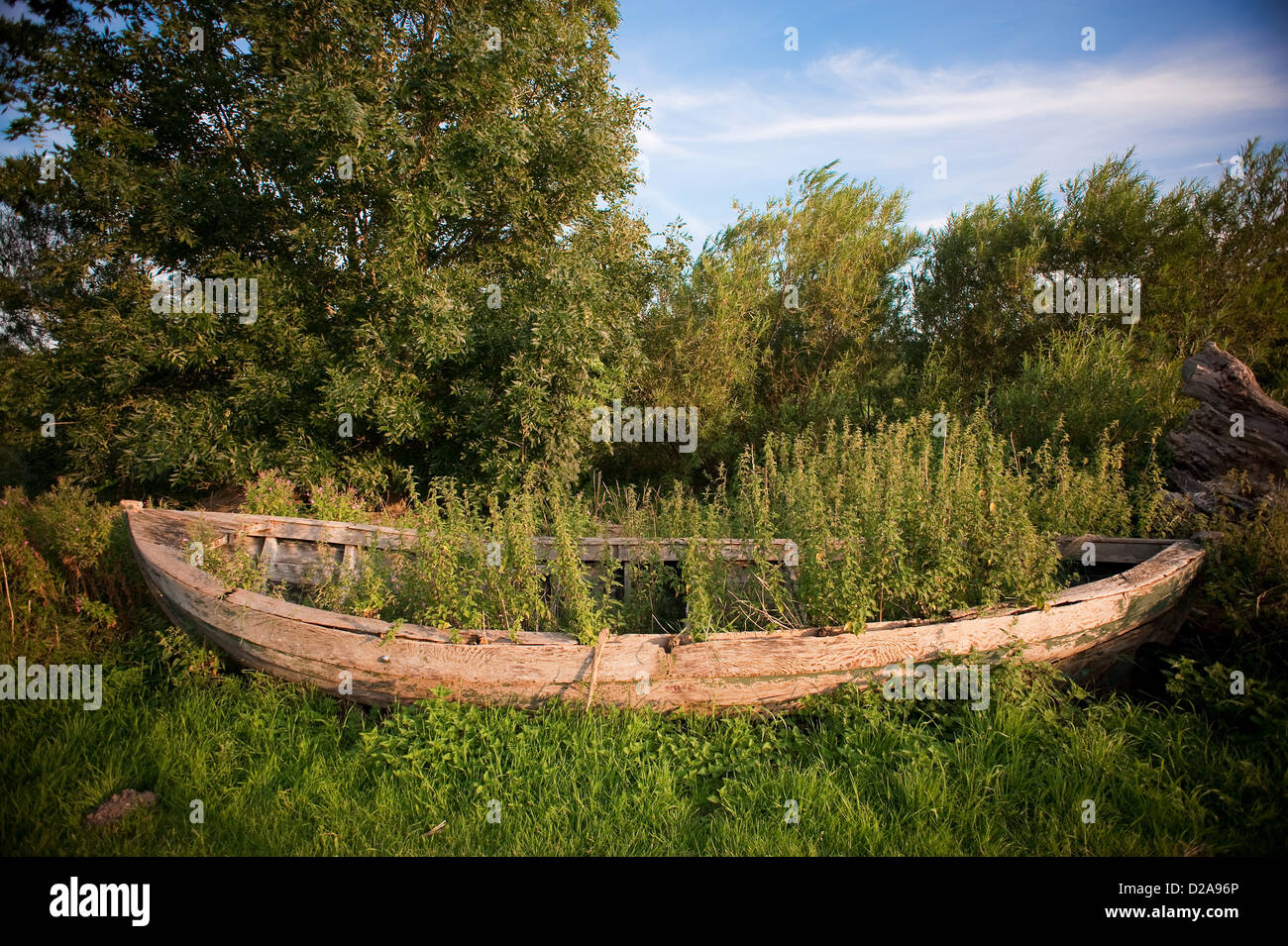 New churches, Ruegen, Germany, the wreck of a wooden boat Stock Photo