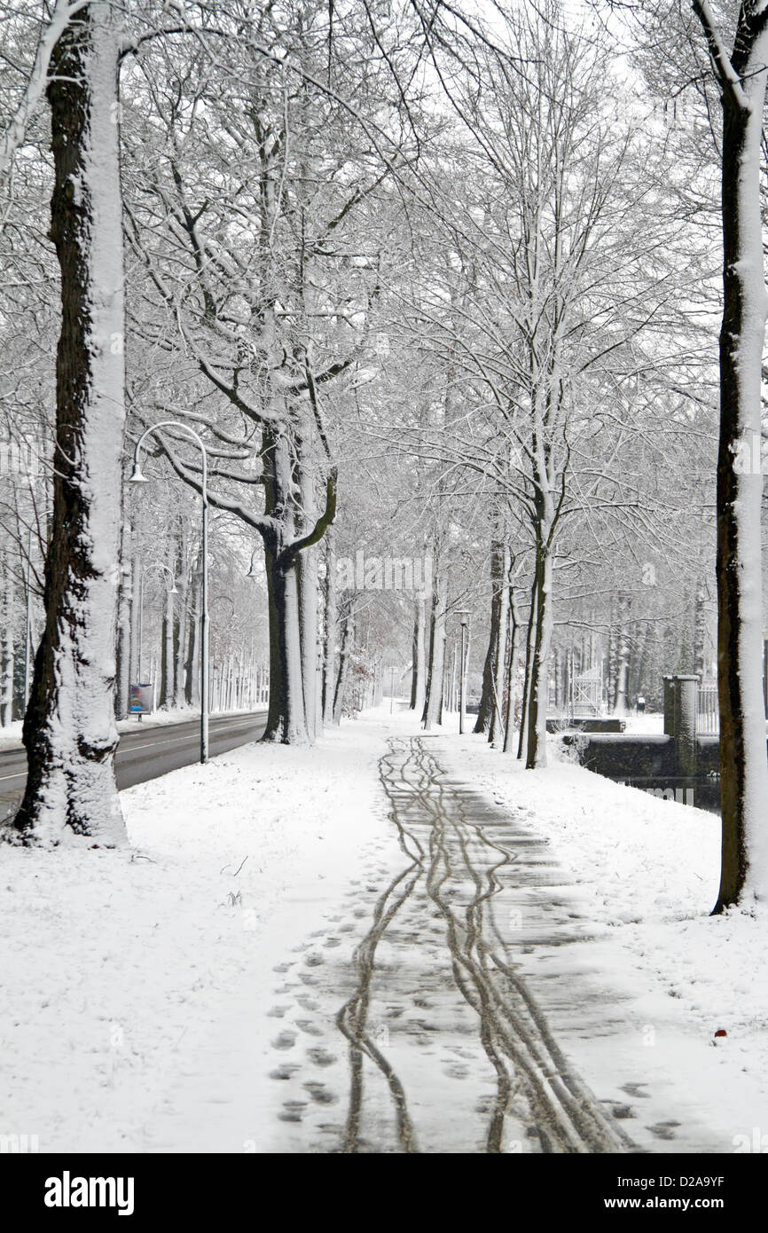 Snowy woods in the Netherlands Stock Photo