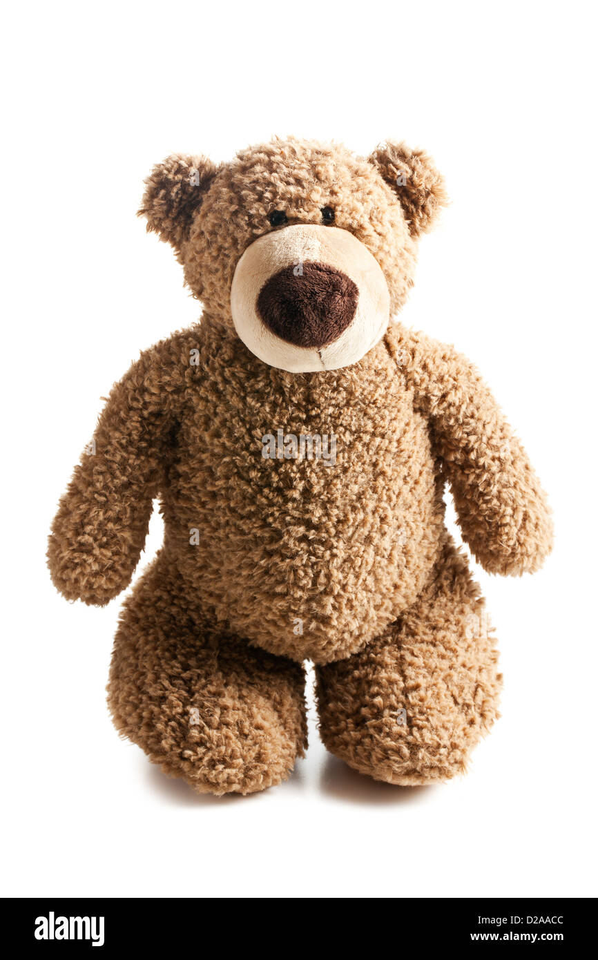 teddy bear on white background Stock Photo