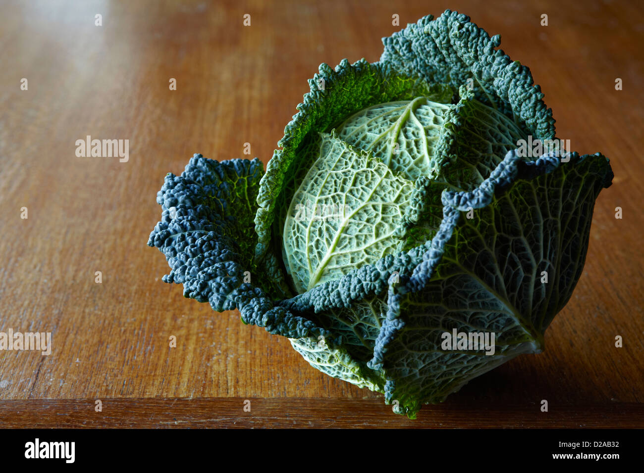 Close up of head of cabbage Stock Photo Alamy