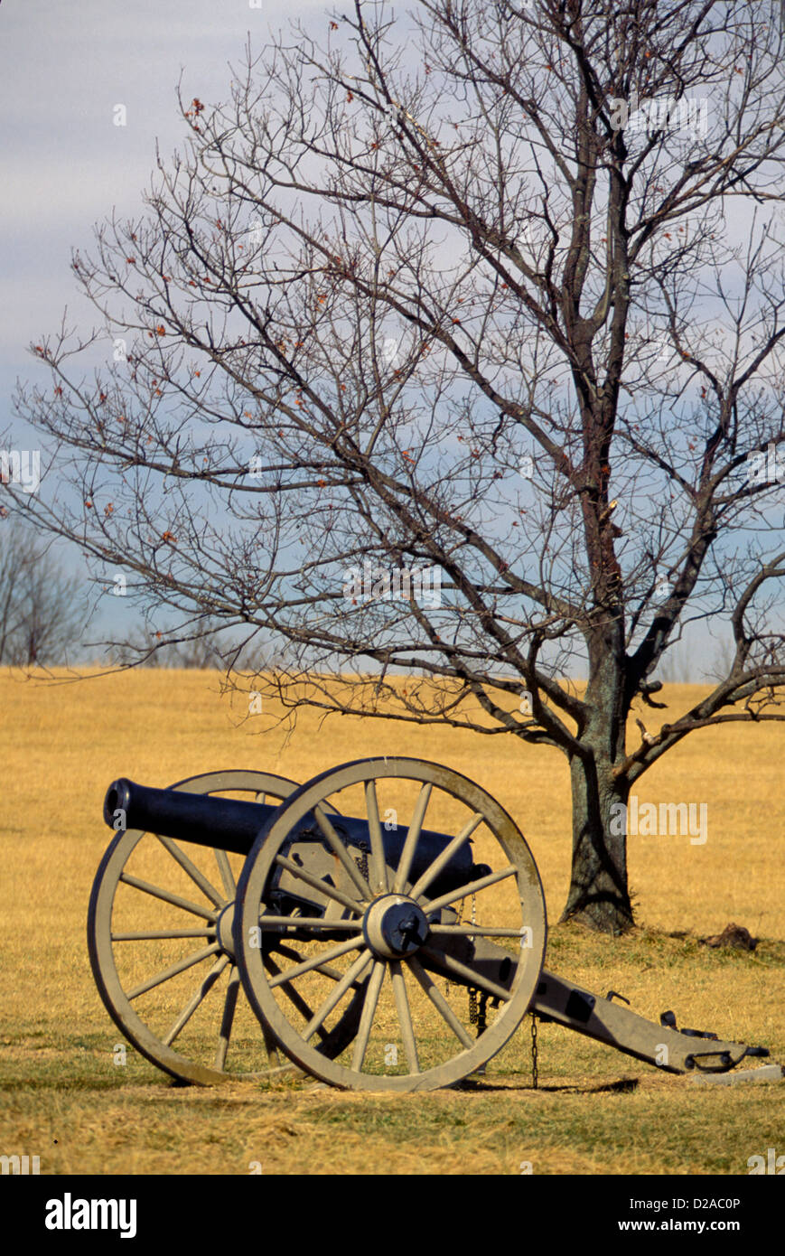 Savannacannon - Best photos on dibujosparaimprimir.net