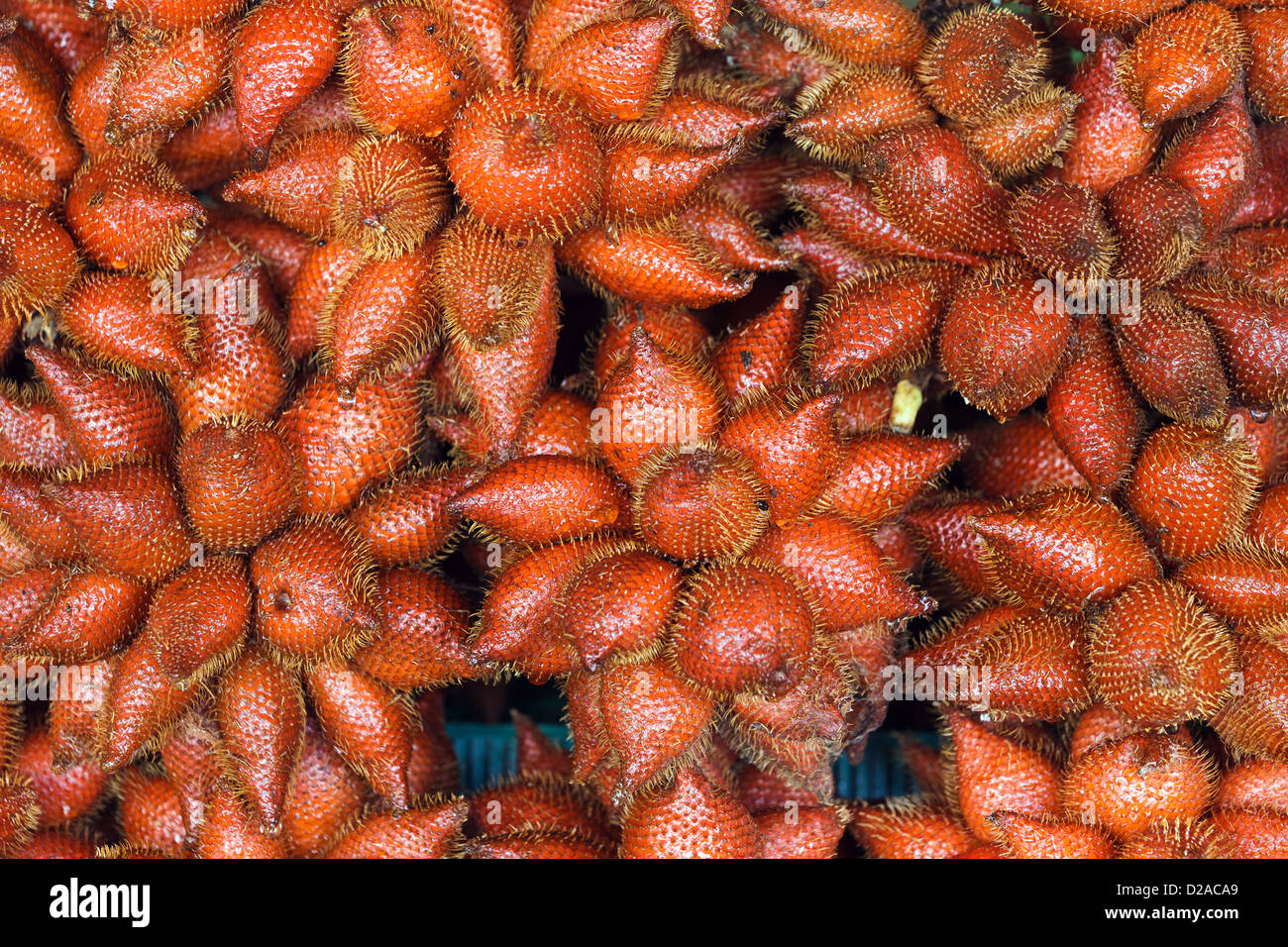 Fresh Sala fruits in market, Thailand Stock Photo