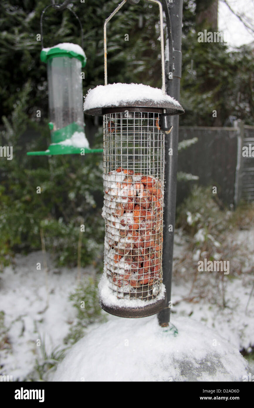Bird feeders in the snow Stock Photo Alamy