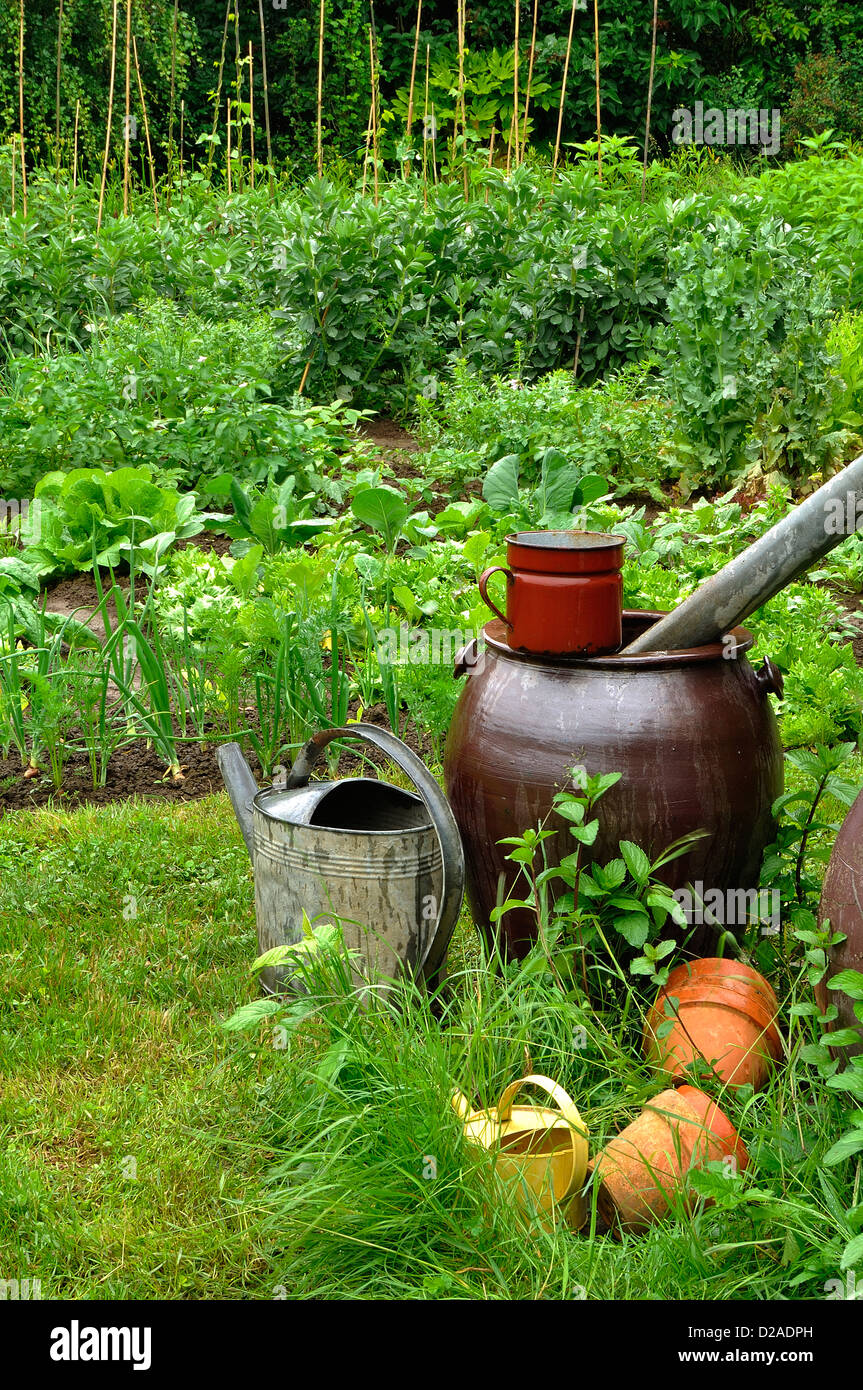 Recovery of rainwater in jars, in the vegetable garden. 'Potager de Suzanne', Le Pas, Mayenne, Loire country, France. Stock Photo