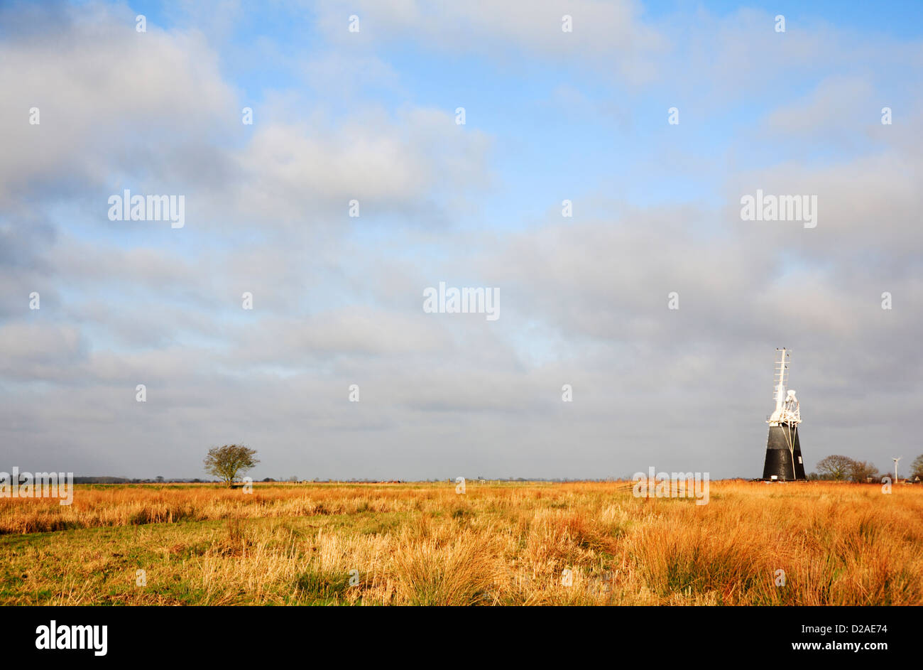 A view towards Mutton's Drainage Mill by Halvergate Marshes from Wickhampton, Norfolk, England, United Kingdom. Stock Photo
