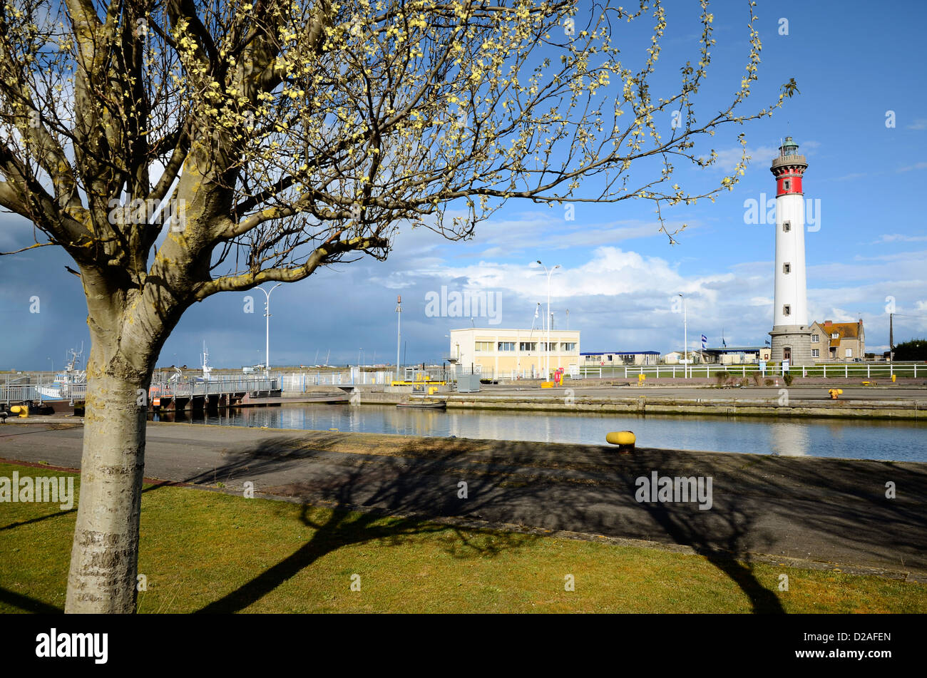 Lighthouse and tree in the foreground at Ouistreham in the Calvados department in the Basse-Normandie region in France Stock Photo