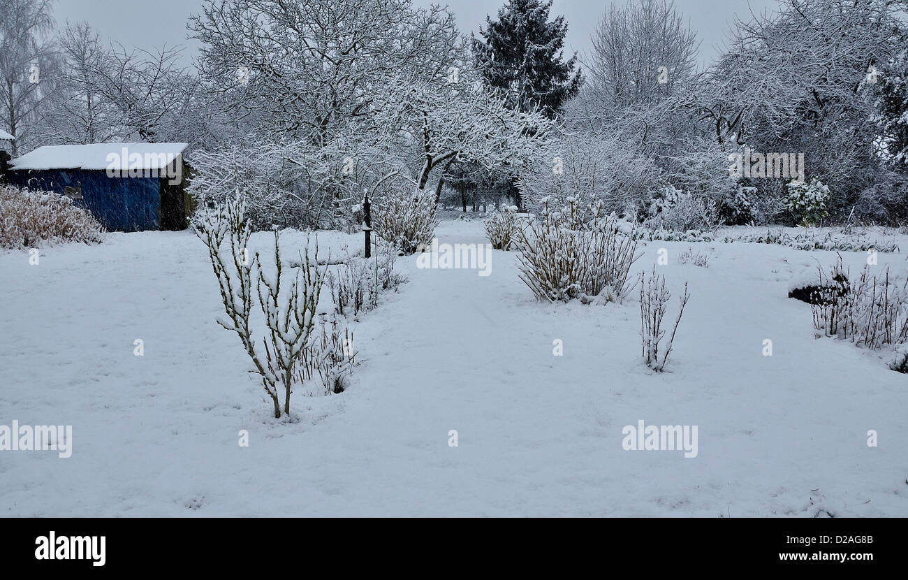 Vegetable garden and orchard under snow in January Stock Photo Alamy